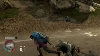 State of Decay 2 Feral