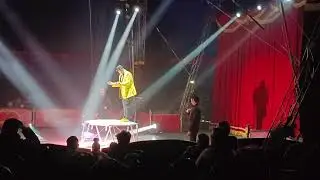 Circo Busnelli Arezzo Italia Toscana 2025