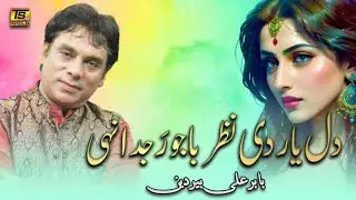 Dil Yaar De Nizaray Baju Rajda,Babar Ali beer din, TS Gold , #dil #yarde #beautiful #qawali