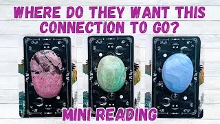 Where Do They Want This Connection w/You to Go? Pick a Card Love Reading