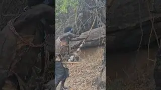 Using handmade bow and arrow to hunt their food #africantribe #life #villagelife