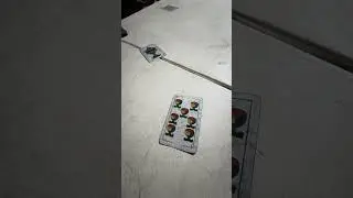 Los Maestros del Truco Argentino, Santi Team Vs Leo Team juegan los &uacute;ltimos por envido y truco ✨