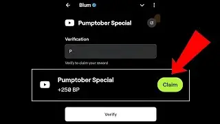 Pumptober Special Blum video code | Blum verification keyword on Pumptober Special