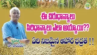 How These Millets Become Siridhanya || Dr Khader vali || Rythunestham