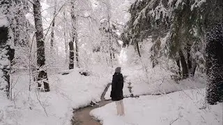 [Winter Vlog ] White silence. Velvet snow. Endless forest.