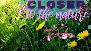 🌍 Soul journey ❤️ Magical Mother Earth: Closer to nature . . .  part 2