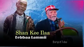EEBBAA NAMA JABAA |SHAN KEE ILAA| AFAAN OROMOO SEENAA DHUGAA HOJJETE