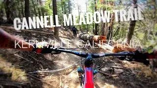 Cannell Meadow Trail, Kernville Ca.2019