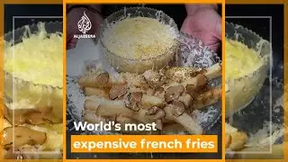 The world&rsquo;s most expensive French fries | Al Jazeera English