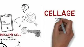 CellAge - Technology