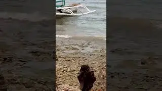 Tabunok, Lipayran Island, Bantayan, Cebu