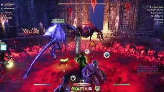 vet dungeons