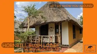 Murchison Falls Lodge | Hornbill Bush Lodge | Best budget!