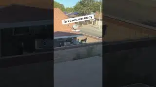 Никогда не знаешь, что увидишь на съемке недвижимости 📸