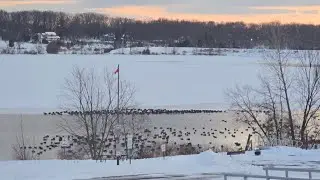 PEACE VALLEY DRONE SHOT