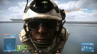 How to do it like dolphins