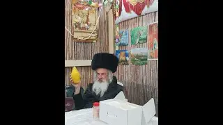 11 часть 5786 год. Ночь на Ошана Раба с равом Цви Элазар Давид Нисанзон