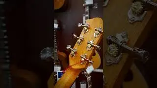Про гитару Godin Metropolis за 60 секунд