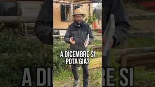 POTATURE DI DICEMBRE: ecco cosa bisogna potare ADESSO