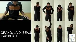CHANSON DESCRIPTION PHYSIQUE // Profenoia