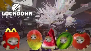 lockdown protocol funny moments