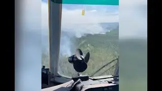 Огнем в округе охвачено более 3700 гектаров леса