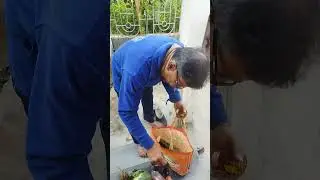 #my sweet 🏡 home #🍆 vegetable 🥒 cauliflower # phool gobi#spinach #🥚 egg ☘️ plant