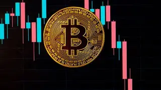 mrCrypto is live #bitcoin #crypto #forex #shorts #trending