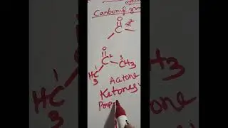 Important functional groups 