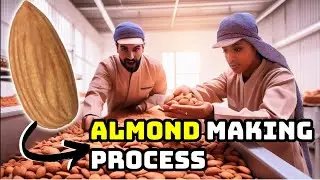 The Fascinating Process of Almond Making