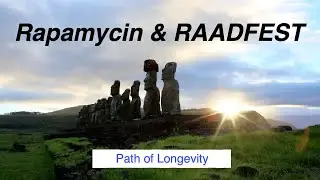 114-Rapamycin and RAADFEST