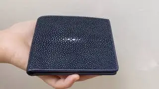 Exotic Wallet, Blue Polished Stingray Wallet