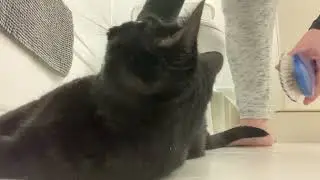 Bathroom Routine