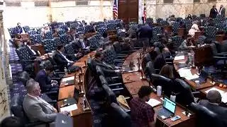 House Floor Session, 3/30/2021 #1
