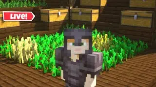 Minecraft Romania cu abonatii construim chestii LIVE 🔴