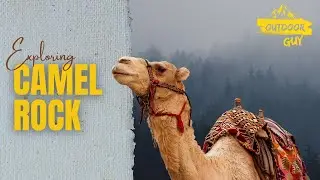 🥾 Hike to Camel Rock In 2 Hours | Rheinland-Pfalz, Germany 🇩🇪 | Scenic Trail & Epic Views