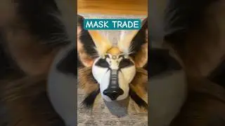 Mask trade with ​⁠@gaugekitten! #catmask #theriangear #therian #therianthropy #therianmask #furry