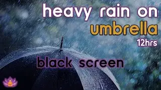 [Black Screen] Heavy Rain on Umbrella No Thunder | Rain Ambience | Rain Sounds for Sleeping