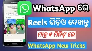 WhatsApp ରେ Reels ଭିଡ଼ିଓ ଦେଖନ୍ତୁ||WhatsApp Re Reels Video Kemiti Dekhiba