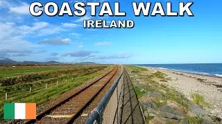 WALKING along the IRISH COASTLINE in NEWCASTLE - IRELAND🇮🇪4K (60fps)