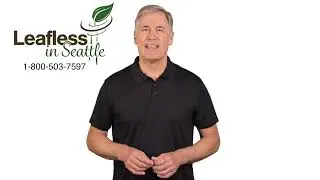 Leafless in Seattle | Gutter Protection Services in Ravenna, WA