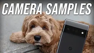 Pixel 6 Pro Camera: Night Sight, Action Pan, and More