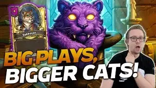 THE BIG PLAYS AND EVEN BIGGER CATS! | Hearthstone Battlegrounds | Savjz
