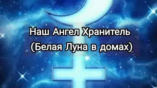 Белая Луна (Ангел Хранитель) в домах #астролог #астрологическаяконсультация #астрологія 