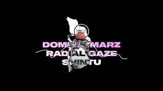Dominik Marz & Radial Gaze - Shintu (Original Mix)