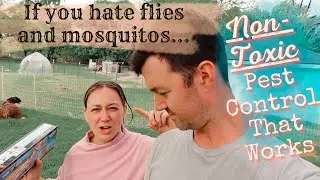 If You Hate Flies & Mosquitos | Non-Toxic Pest Control