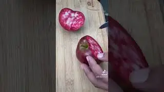 This apple variety is called Neidwetzkyana, a red flesh apple and very rare.