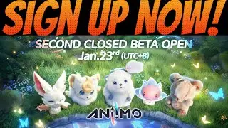 Мы назначили дату второго бета-тестирования ANIIMO.