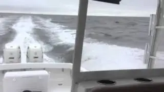 Judge 36 Chesapeake Outboard