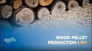 RICHI Wood Pellet Production Line: Powering Sustainable Biomass Energy
